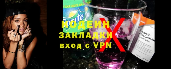 шишки Верея